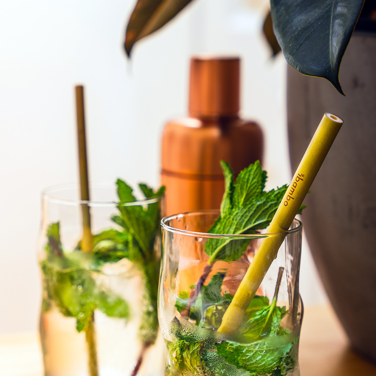 ecofriendly bamboo straw in a glass cup