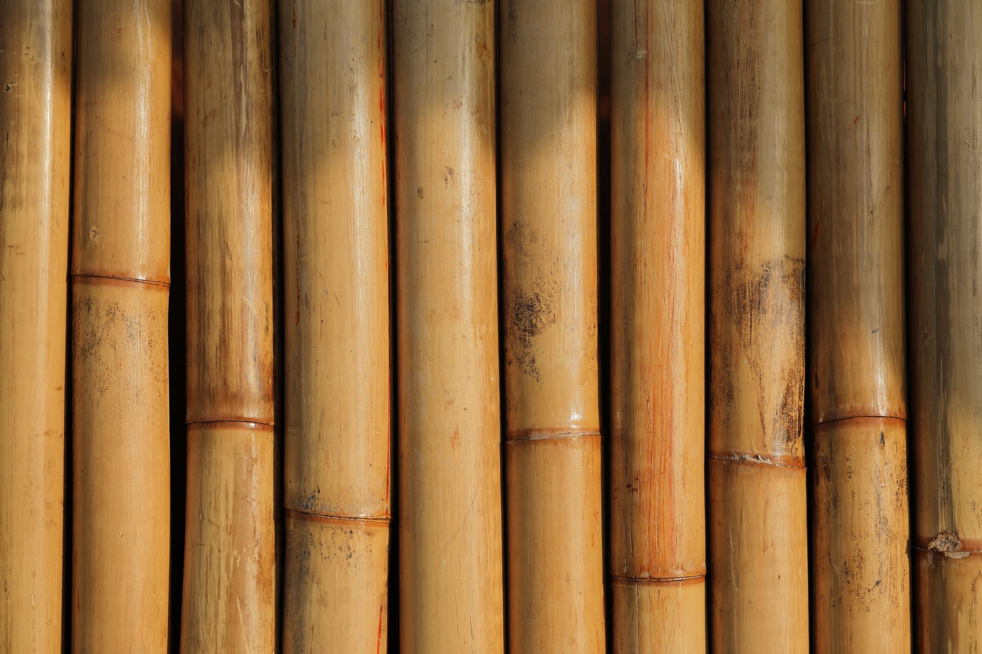The Rise of Bamboo Products: A Renewable Market Takeover 2 bamboo products