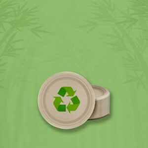 disposable paper plates hero