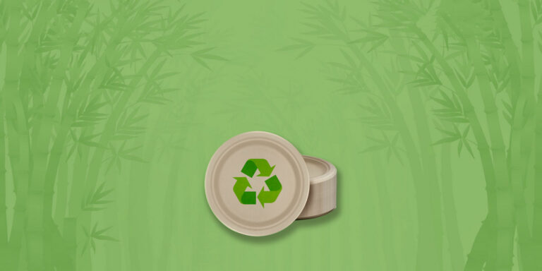 disposable paper plates hero
