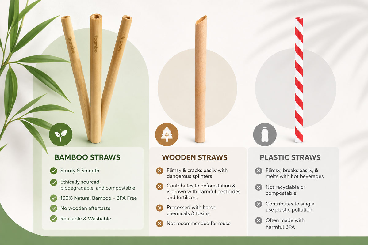 comparison chart of plastic vs bamboo straws