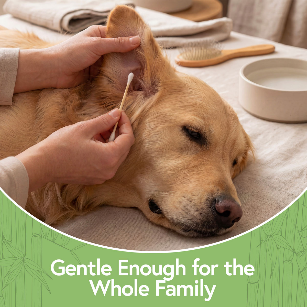 Gentle Cotton Swabs Bamboo cotton swab gently cleaning a dogs ear